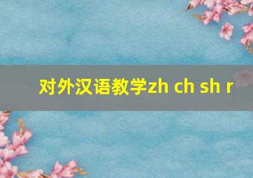 对外汉语教学zh ch sh r